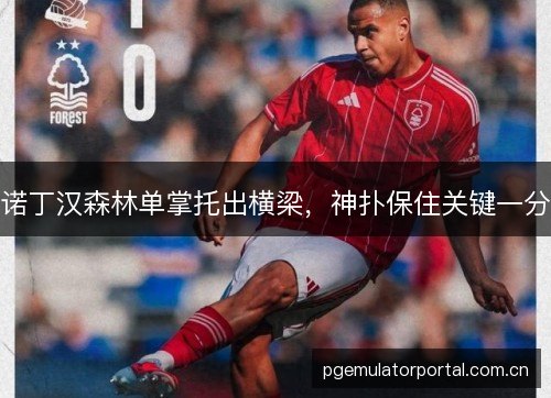 诺丁汉森林单掌托出横梁，神扑保住关键一分
