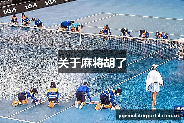 关于麻将胡了